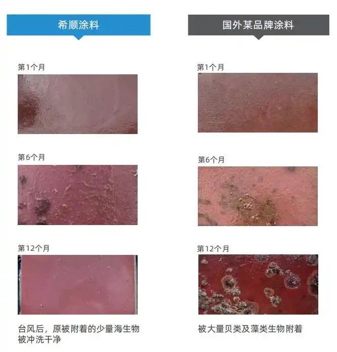 有机硅渔船防腐涂料_船舶铆焊件的海洋环境防腐涂装_海洋环境腐蚀机制